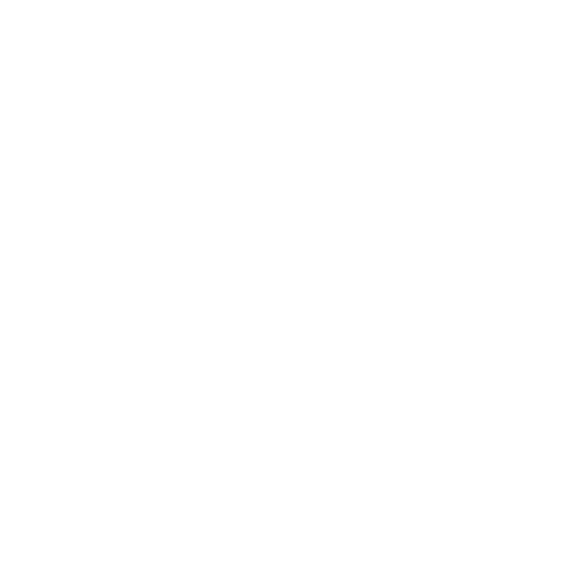 Nurçin Özer